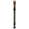 303A Descant Recorder Outfit