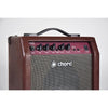 CA-15BT Acoustic or Bass Amp with Bluetooth