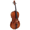 Vivente 4/4 Cello Outfit 3182AG