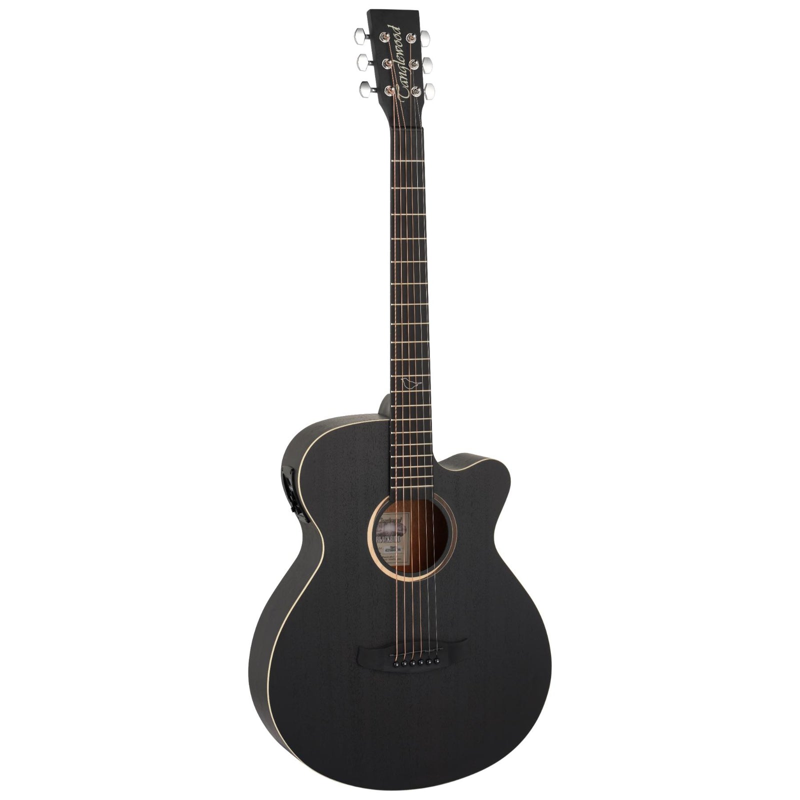 TB4CE Blackbird Electro Acoustic