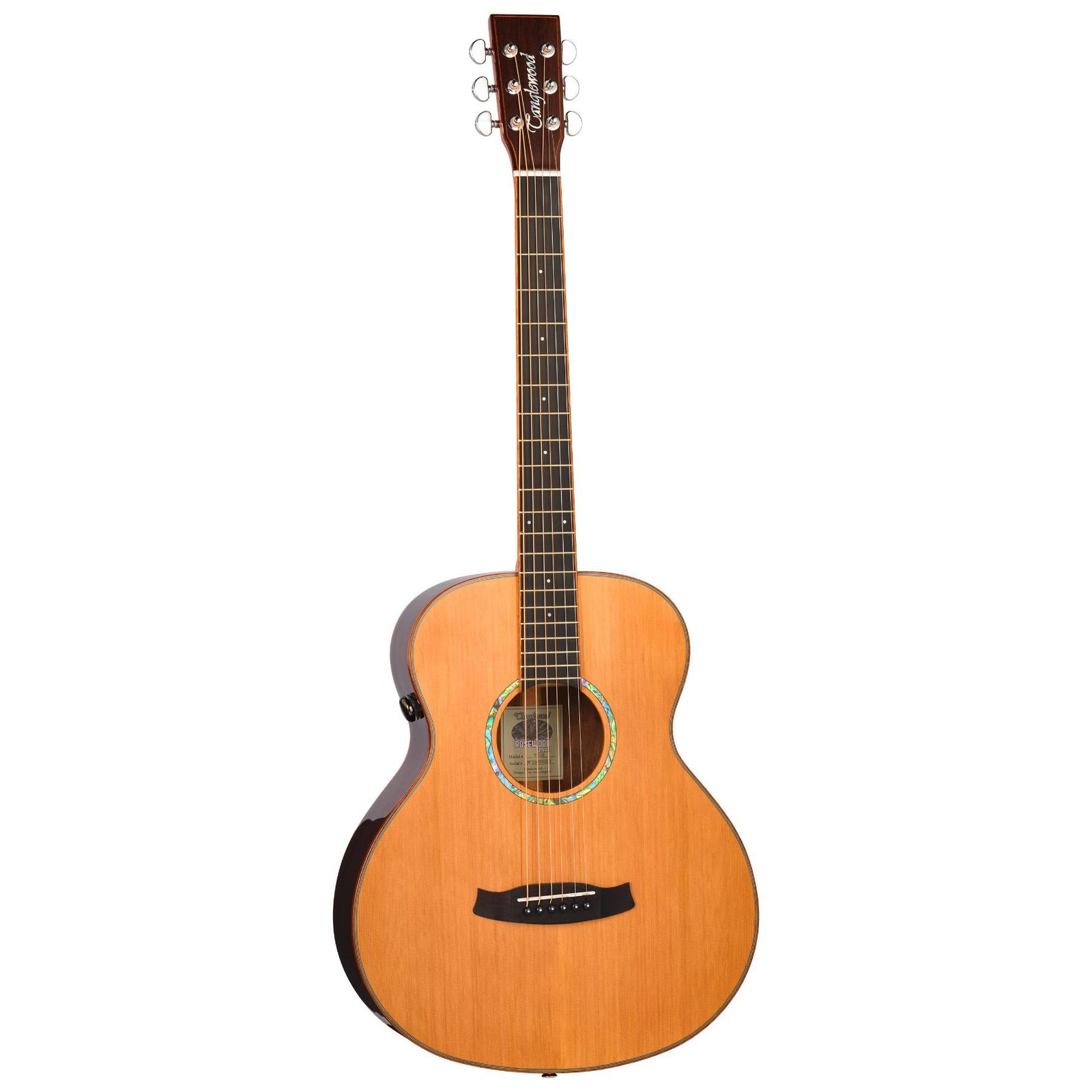 TRS1 E Smart Mini Folk Electro Acoustic (Built in Effects)