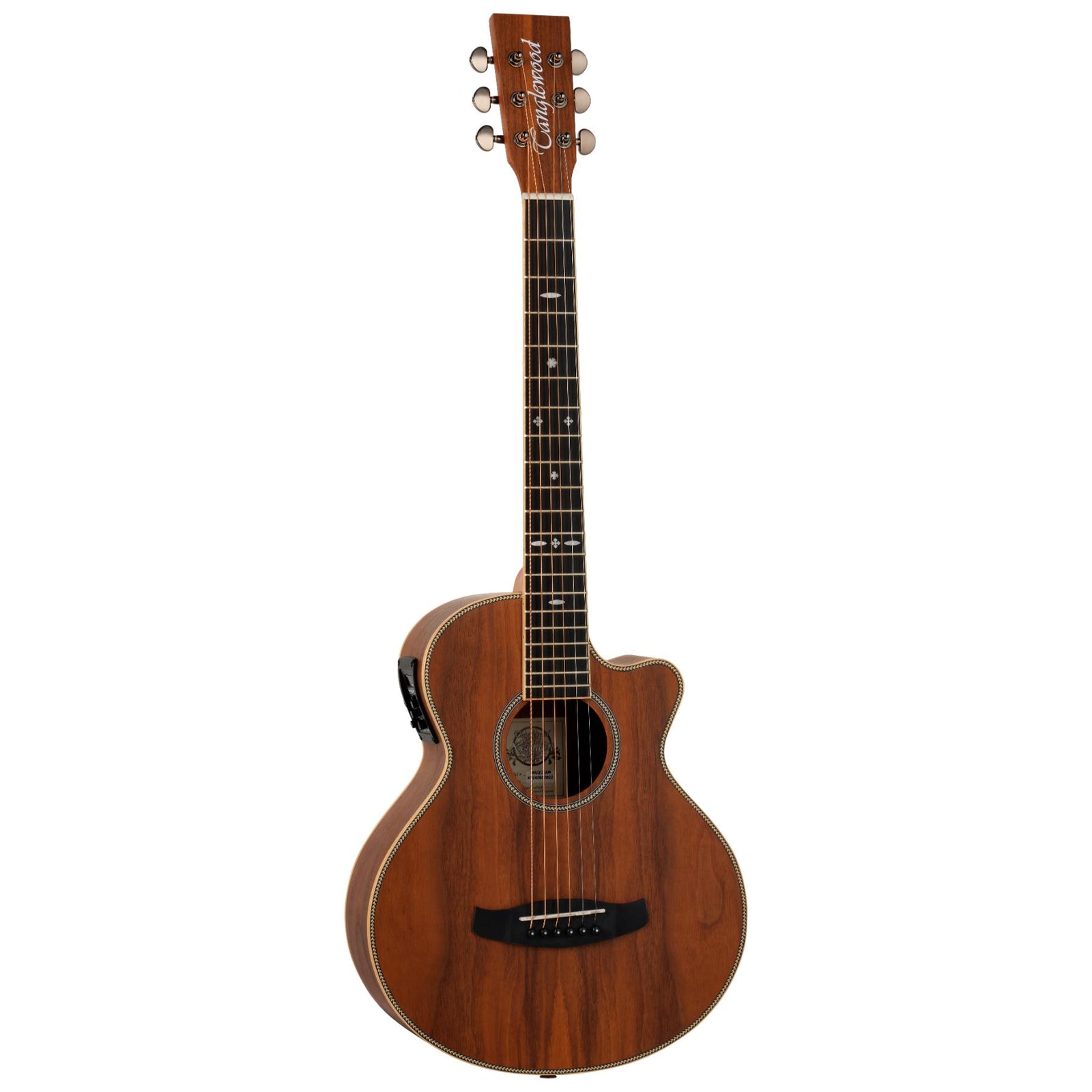TRU2 CE AW Electro Travel Guitar