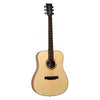 TS5 Strada Acoustic Guitar