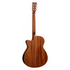 TW4CE SB Electro Acoustic