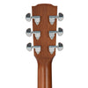 VEC300NS Electro Acoustic Natural Spruce