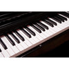 MFDP12 Digital Piano 88 Weighted Keys