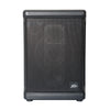 Solo Battery Powered PA