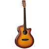 TW4 E FM Electro Acoustic