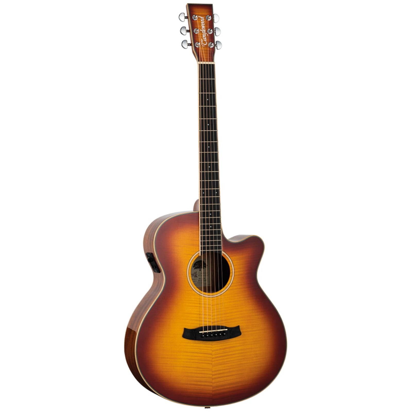 TW4 E FM Electro Acoustic