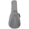 TW45 RE Electro Acoustic