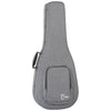 TW45 RVSE Electro Acoustic