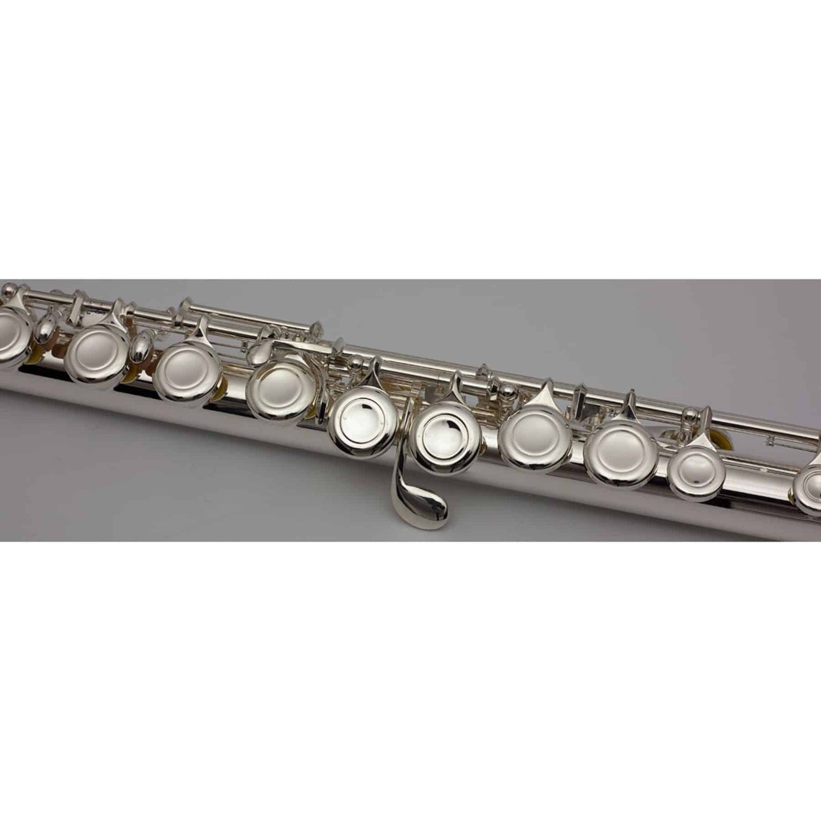 Flute 5X Outfit 3005EW