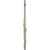 Flute 10XE-P Outfit 3042EASLRW