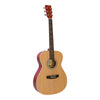 Acoustic Folk Guitar 3553
