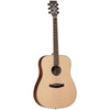 DBT D EB Ebony Dreadnought