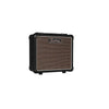 Battery Powered Guitar Combo KGBAT10