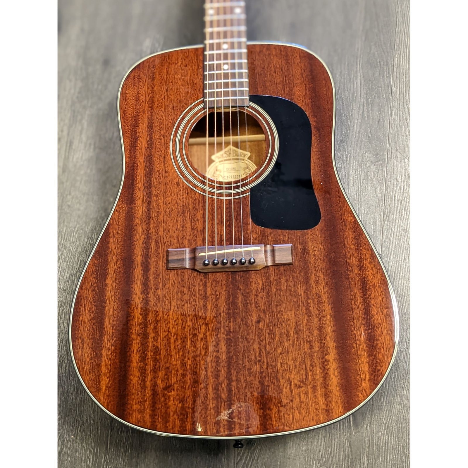 D10M Acoustic [Pre Owned VGC]