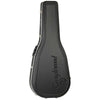 TW70 TE Electro Acoustic
