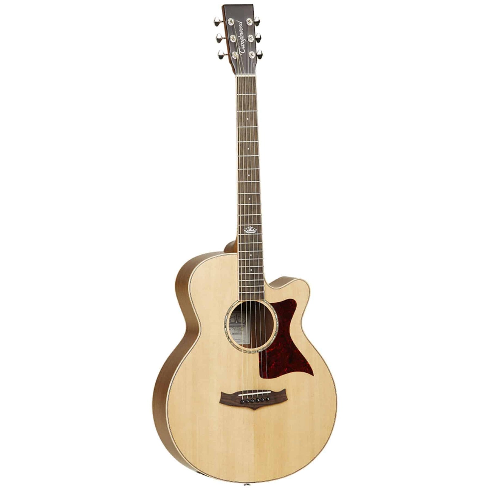 TW145 SSCE  ACOUSTIG GTR