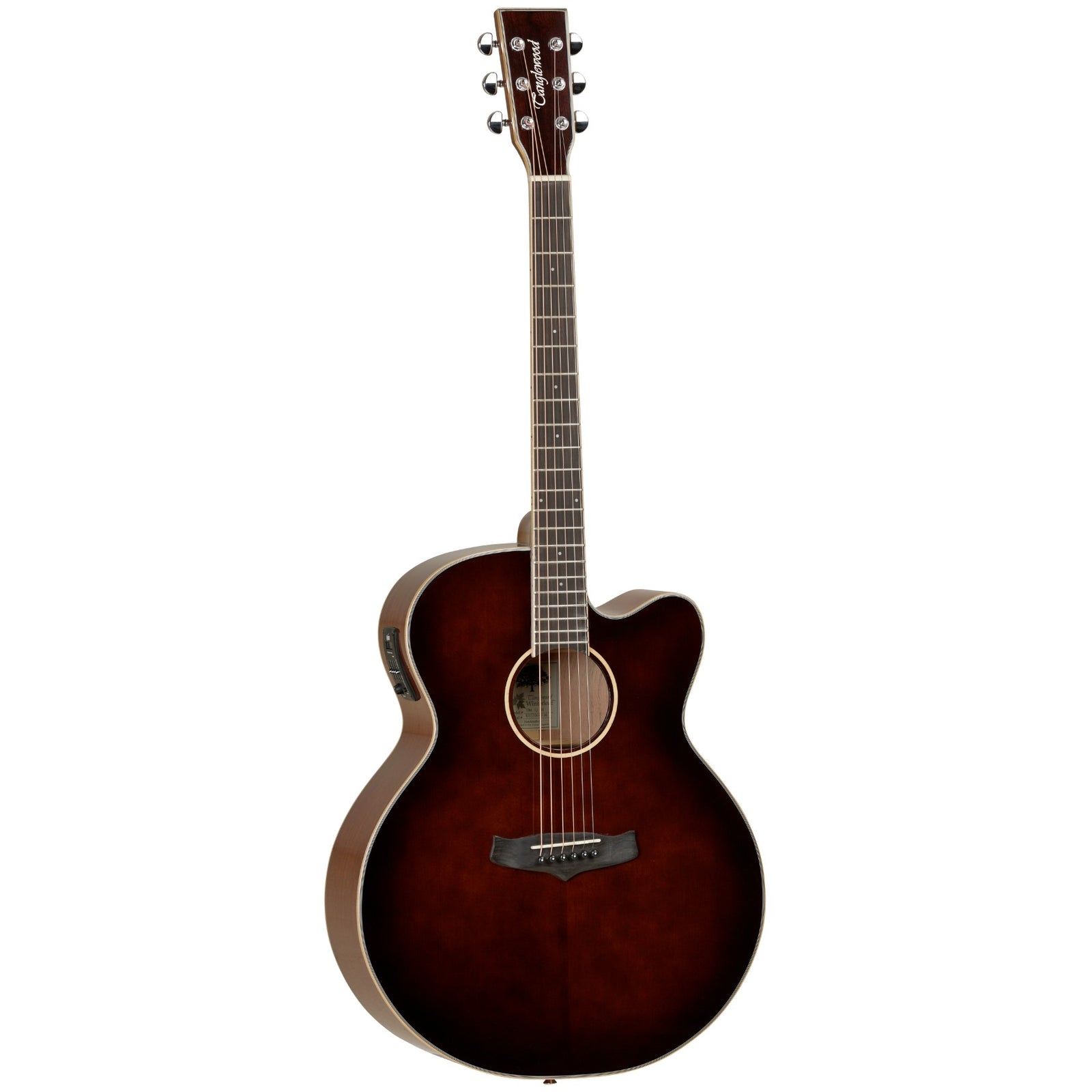 TW4 SJ WB Winterleaf Electro Acoustic