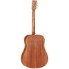 Tanglewood TWU D