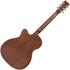 VE660WK Electro Acoustic