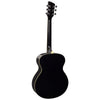 BF100BK Acoustic Guitar Black