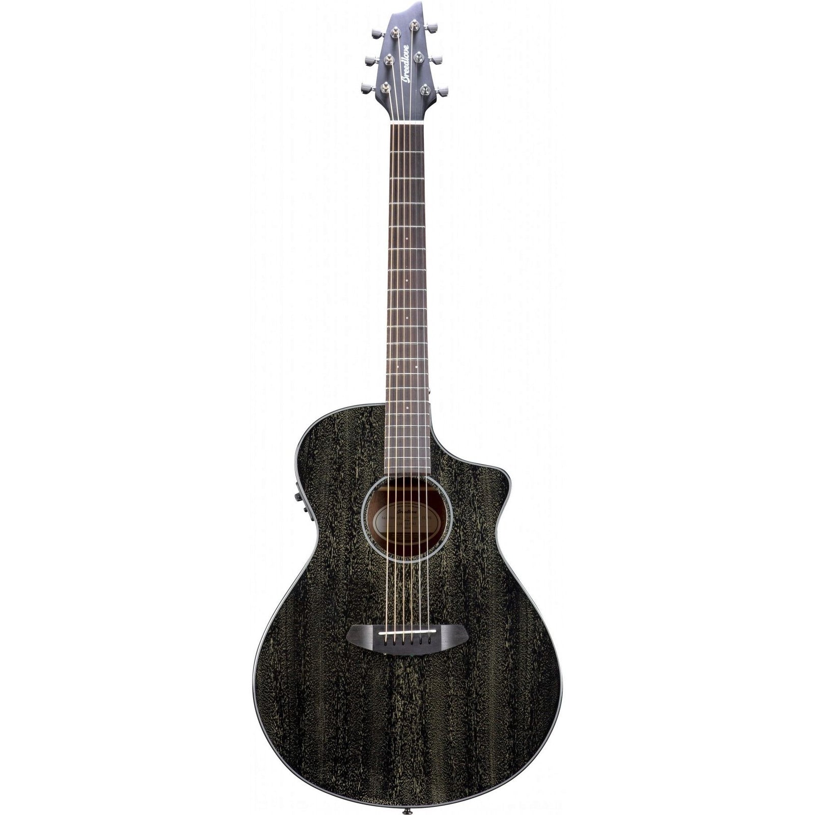 ECO Rainforest S Concert Orchid