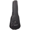 BT200TB travel Acoustic Tobacco Burst