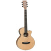 DBT TCE BW Travel Electro Acoustic