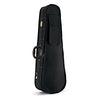 HARLEQUIN ELECTRIC VIOLIN OUTFIT 4/4 NAT