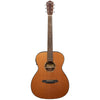 R2CRE Electro Acoustic