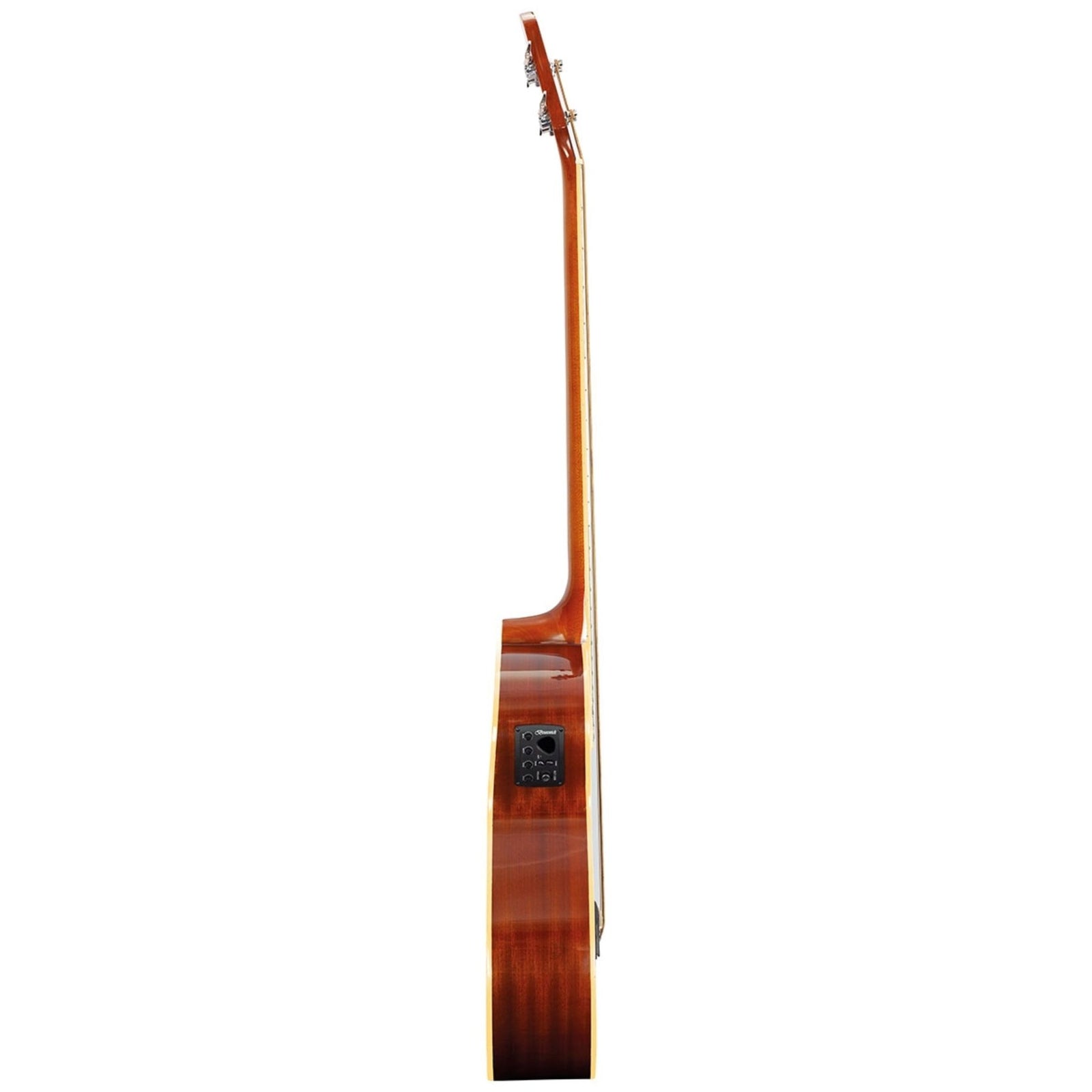 TBJBA Electro Acoustic Bass Guitar