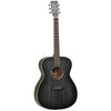 TWBB O Blackbird