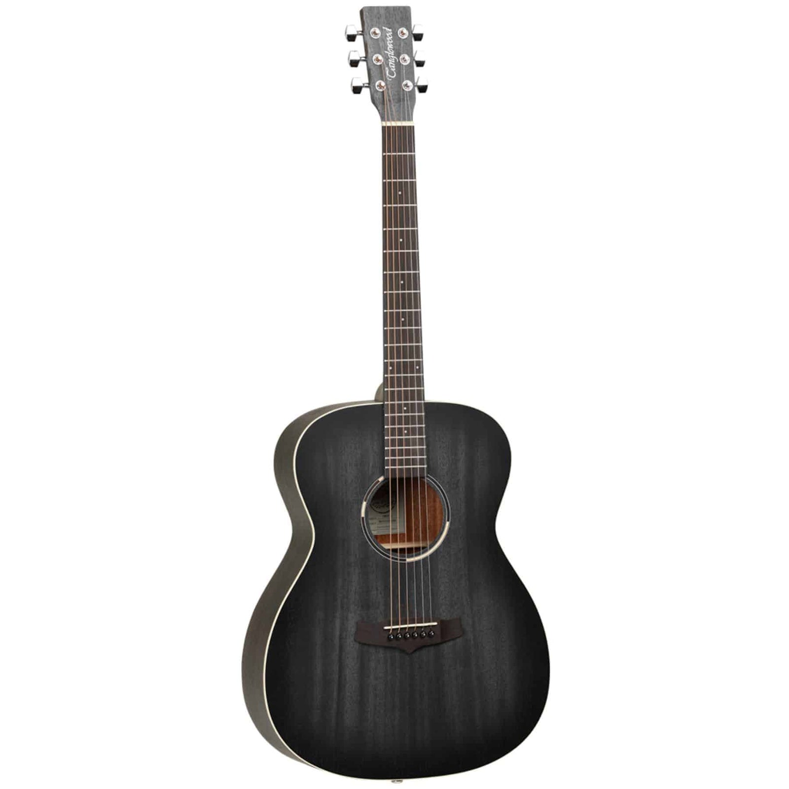 TWBB O Blackbird